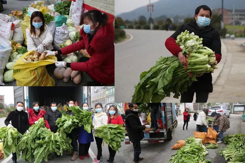 小河農(nóng)民和志愿者捐贈蔬菜并打包。受訪者供圖