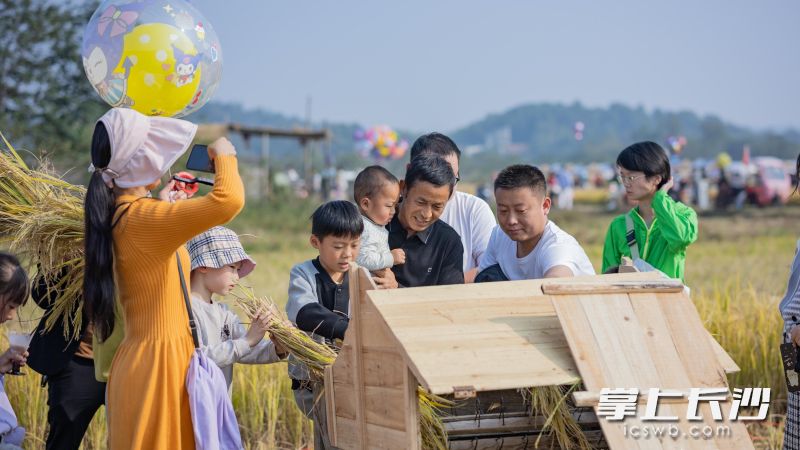 游客朋友參加摸魚、扮禾活動(dòng)，體驗(yàn)勞作的樂趣，收獲豐收的滿足。長沙晚報(bào)全媒體記者 張禹 通訊員 唐柏林 攝影報(bào)道