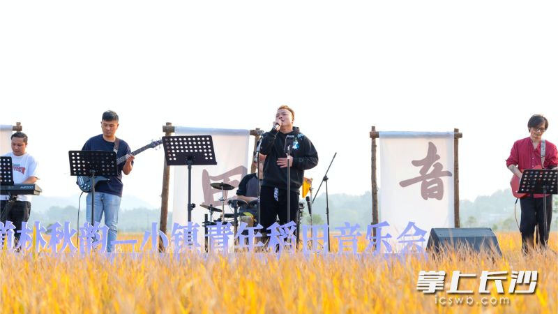 “道林秋韻-小鎮(zhèn)青年稻田音樂會(huì)”在千年古鎮(zhèn)寧鄉(xiāng)市道林鎮(zhèn)舉辦，為八方來客帶來了一場集自然、藝術(shù)、農(nóng)文旅于一體的鄉(xiāng)村嘉年華。均為長沙晚報(bào)全媒體記者 張禹 通訊員 唐柏林 攝影報(bào)道